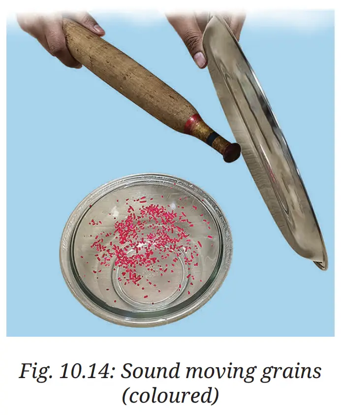 Exploration Class 9 Science, Sound Waves: Characteristics and Applications — diagram for this question