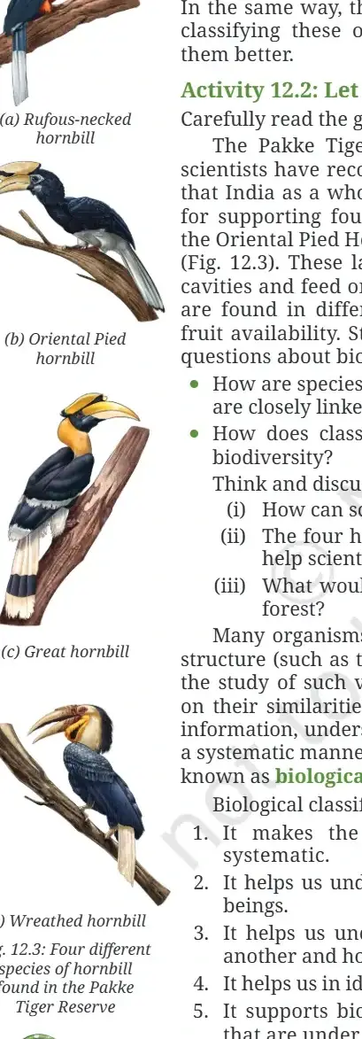 Exploration Class 9 Science, Patterns in Life: Diversity and Classification — diagram for this question