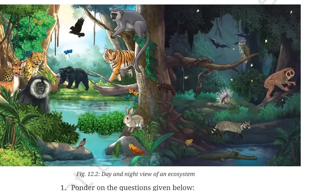 Exploration Class 9 Science, Patterns in Life: Diversity and Classification — diagram for this question