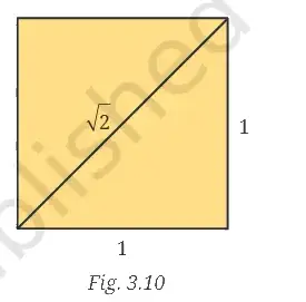 Ganita Manjari Class 9 Maths, The World of Numbers — diagram for this question